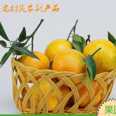 四川愛媛38號(hào)柑橘 產(chǎn)地直銷的甜潤(rùn)佳果