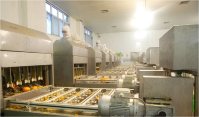 以“新”賦能，“味”見未來！豐島食品走出綠色智造之路