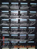 專業布線工程全方位解析 從施工到產品，上海正金電子科技引領網絡工程新標準